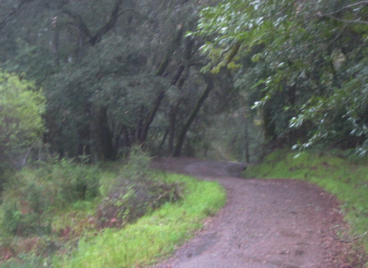Hiking Trail
